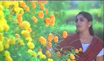 Telugu Sahitya Kavithalu, Telugu Kavithalu, Telugu Inspirational Quotes, Telugu Inspirational Stories, Telugu Motvational Stories, Chalam, oka puvvu sindi by chalam